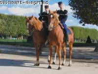 gardesrepublicains.jpg

176,57 KB 
648 x 486 
17/04/2007