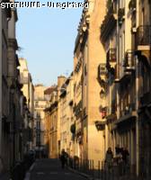 zruepetitmusc.jpg

116,21 KB 
606 x 718 
17/04/2007