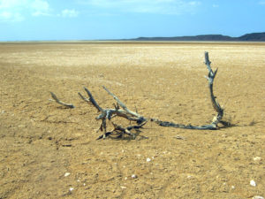 Desierto_Guajira