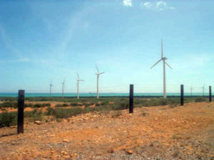Guajira_H(9)