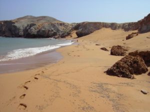 guajira